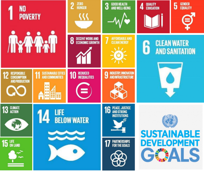 Sustainable Development Goals