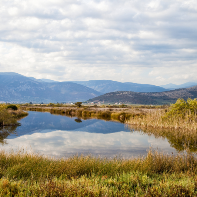 Wetland World Day