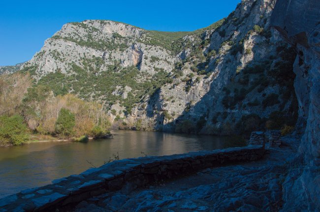 RODOPI